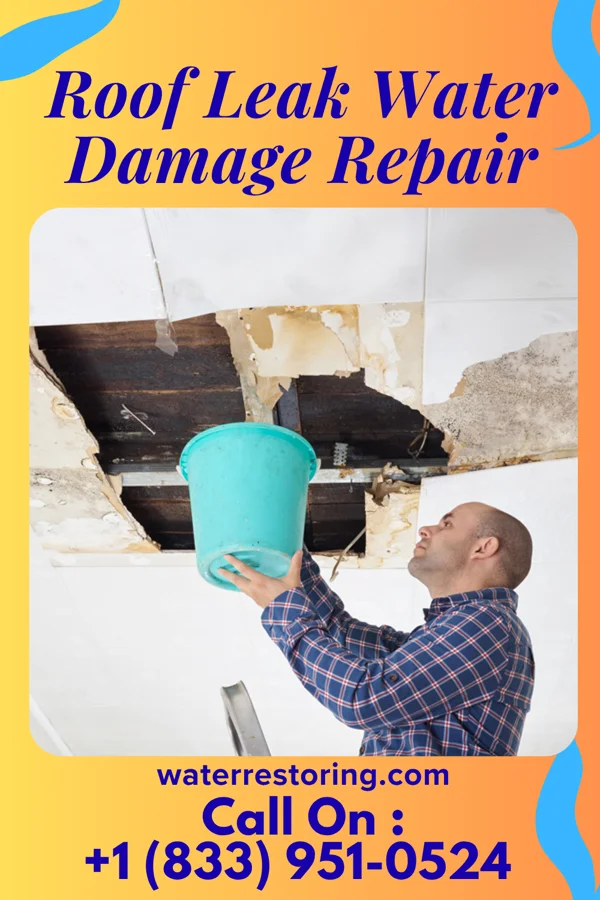 Roof Leak Water Damage Repair in Webster, NC
