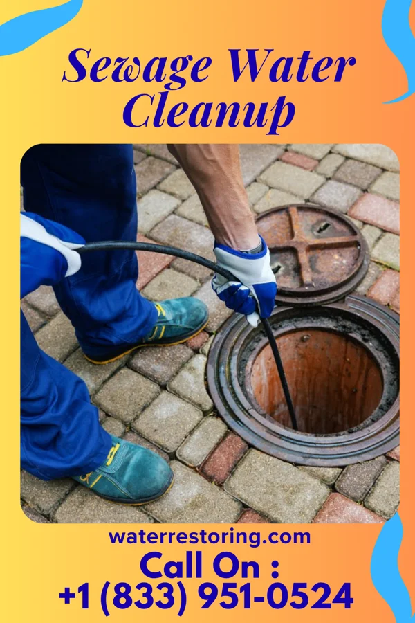 Sewage Water Cleanup in Webster, NC