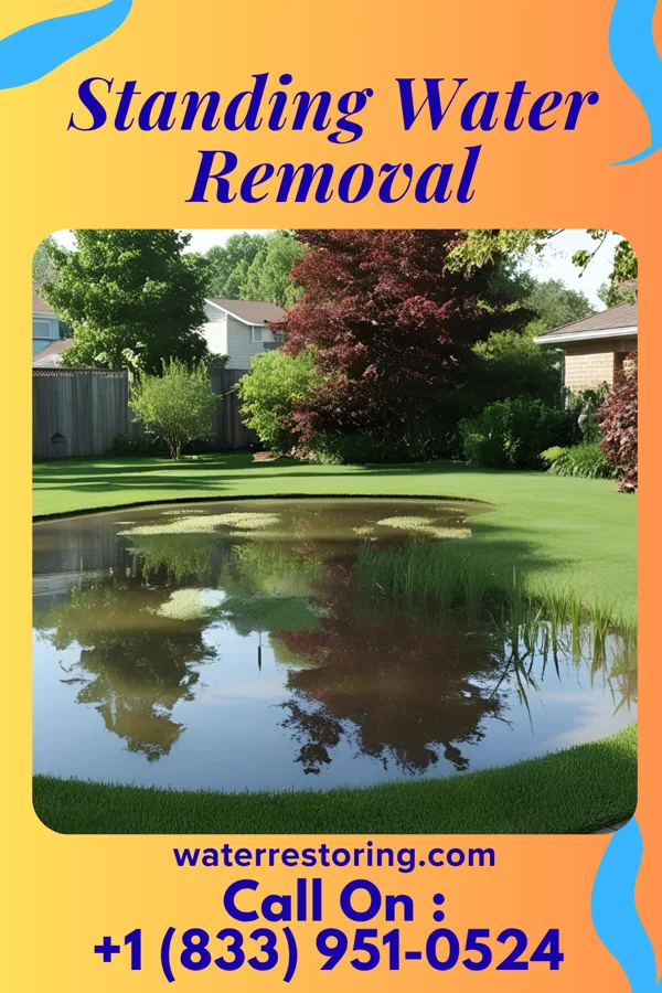 Standing Water Removal in Webster, NC